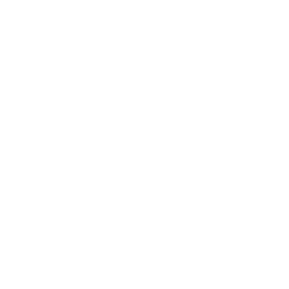 Logo Max Fritzsching
